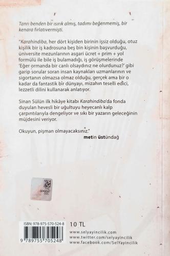 Karahindiba Sinan Sülün Sel Yayıncılık